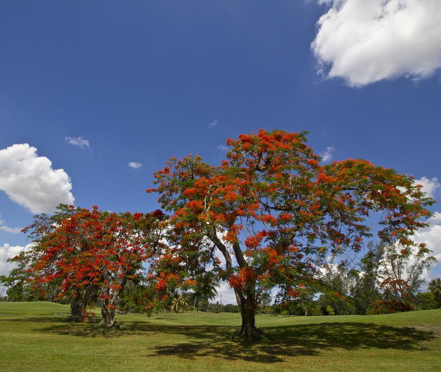 Miami Lakes Hotel And Golf Exterior foto